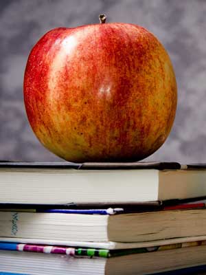 求问安卓ddos攻击工具